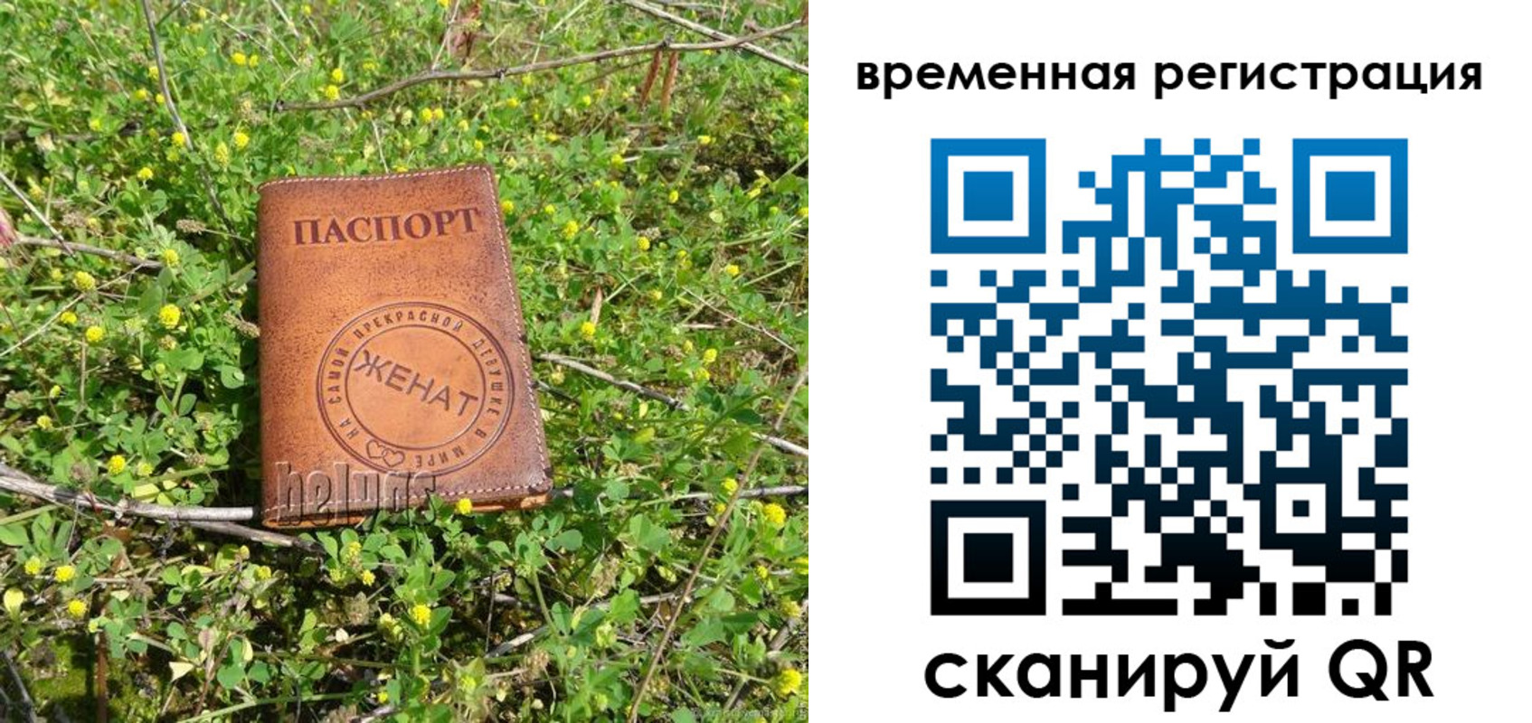прописка регистрация в Сельцо